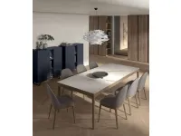 Dada chair in fabric and wood by Tomasella