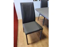 translate the following sentence into